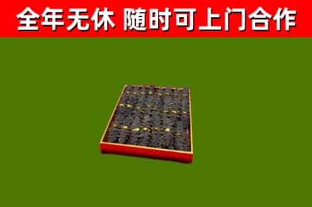 宁河回收海参
